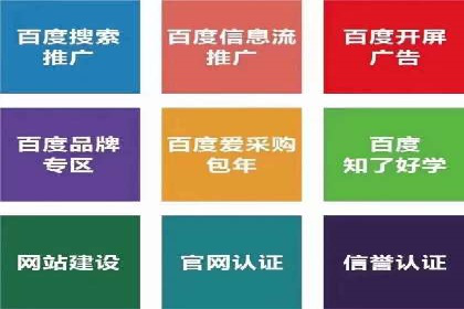 百度竞价排名案例：如何快速提升品牌知名度